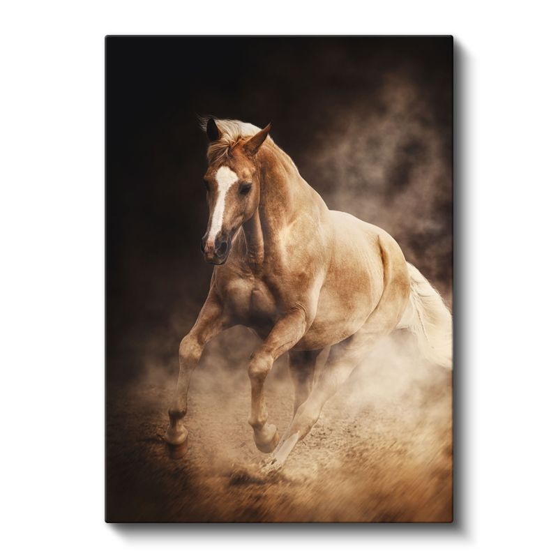 Çöl Atı - Tozlu Toprakta Özgürlük Kanvas Tablo