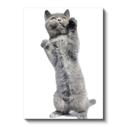 Oyuncu Gri Kedi - İki Ayak Üstünde Şirinlik Kanvas Tablo