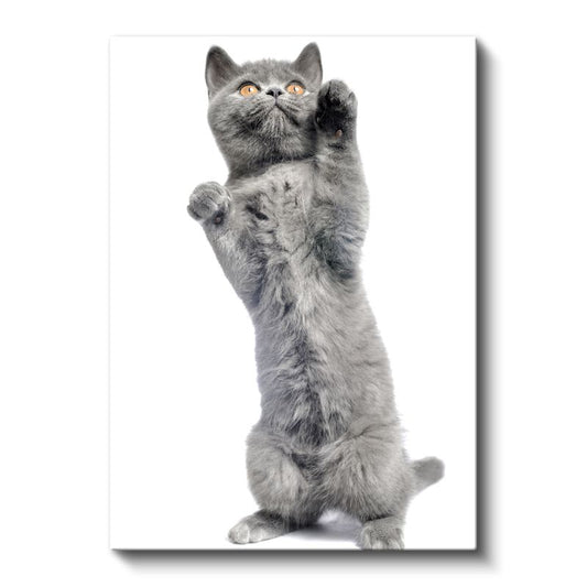 Oyuncu Gri Kedi - İki Ayak Üstünde Şirinlik Kanvas Tablo