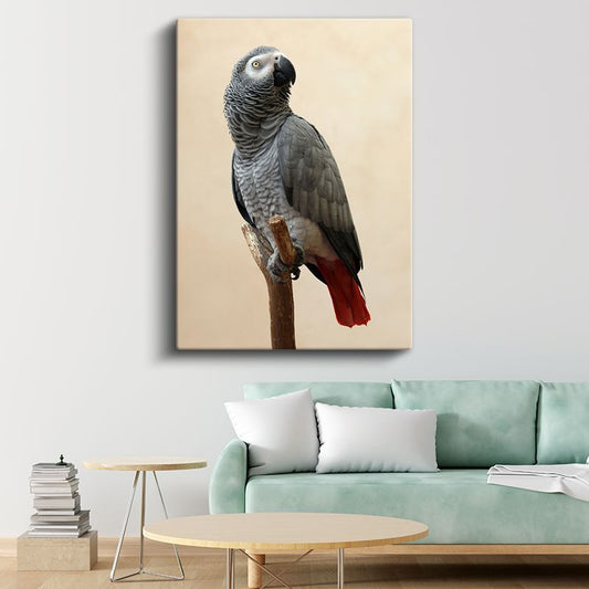 Afrika Papağanı - Kırmızı Kuyruklu Asalet Kanvas Tablo