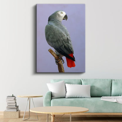 Gri Papağan - Zarif Profil Kanvas Tablo