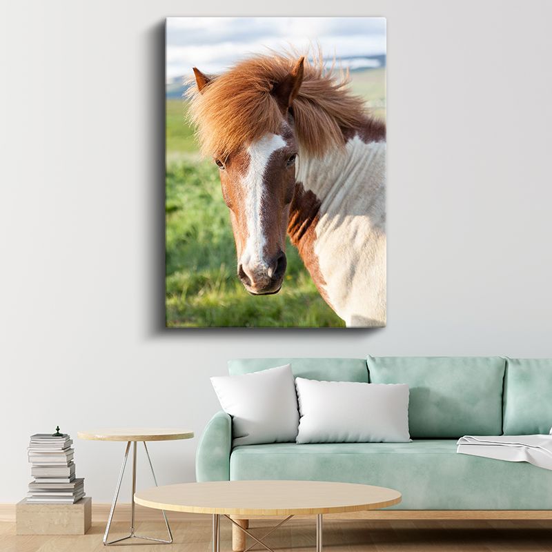 Alaca At - Doğal Güzellik Kanvas Tablo