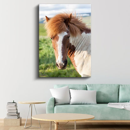 Alaca At - Doğal Güzellik Kanvas Tablo