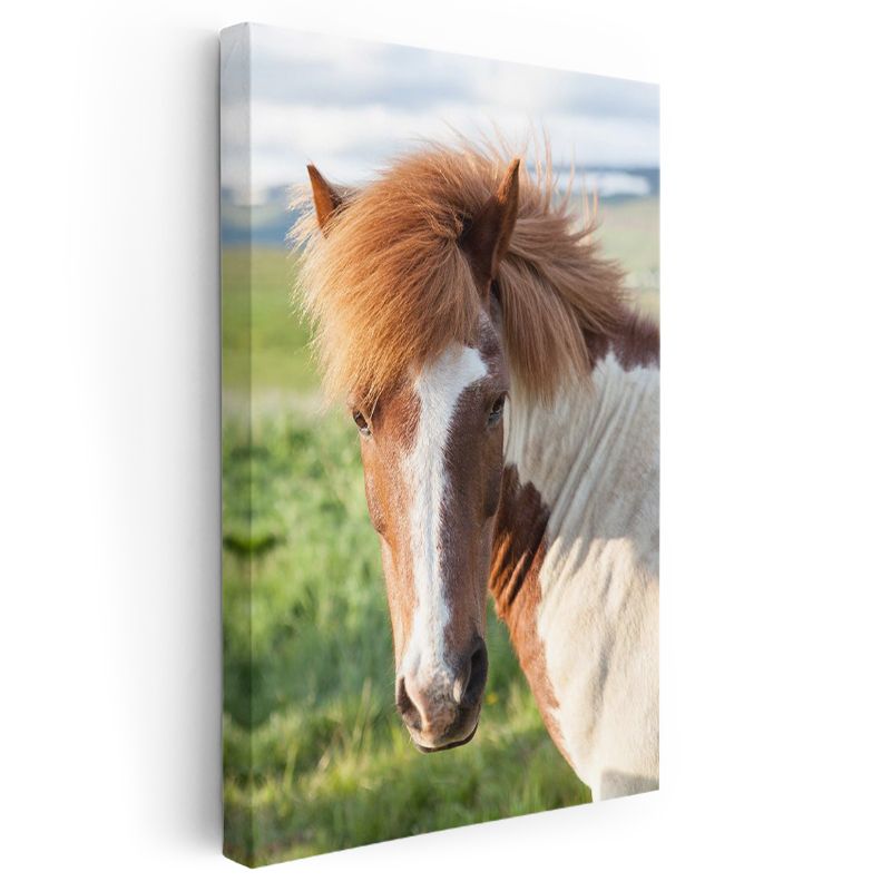 Alaca At - Doğal Güzellik Kanvas Tablo