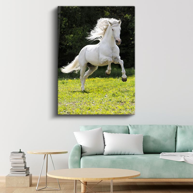 Beyaz At - Özgürlük Koşusu Kanvas Tablo