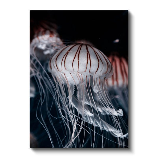 Denizanası - Derin Sular Dansı Kanvas Tablo