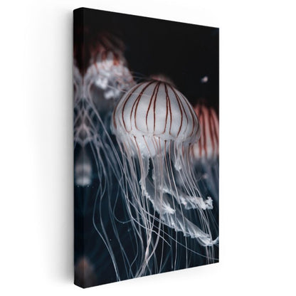 Denizanası - Derin Sular Dansı Kanvas Tablo