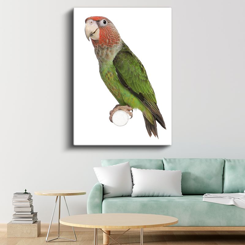 Amazon Papağanı - Doğal Güzellik Kanvas Tablo
