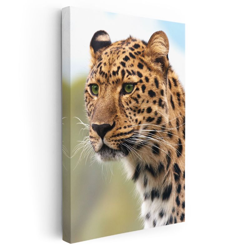 Leopar Portresi - Vahşi Bakış Kanvas Tablo