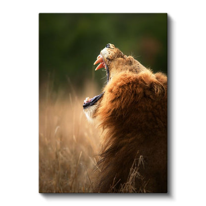 Kükreyen Aslan - Vahşi Haykırış Kanvas Tablo