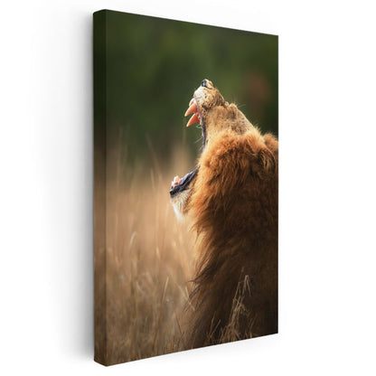 Kükreyen Aslan - Vahşi Haykırış Kanvas Tablo