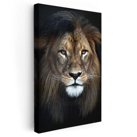 Aslan Portresi - Asil Bakış Kanvas Tablo