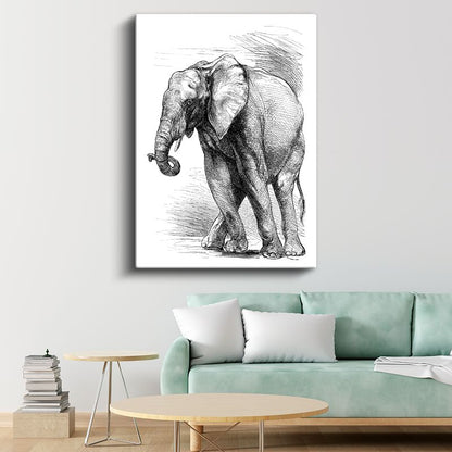 Fil Çizimi - Klasik Eskiz Kanvas Tablo