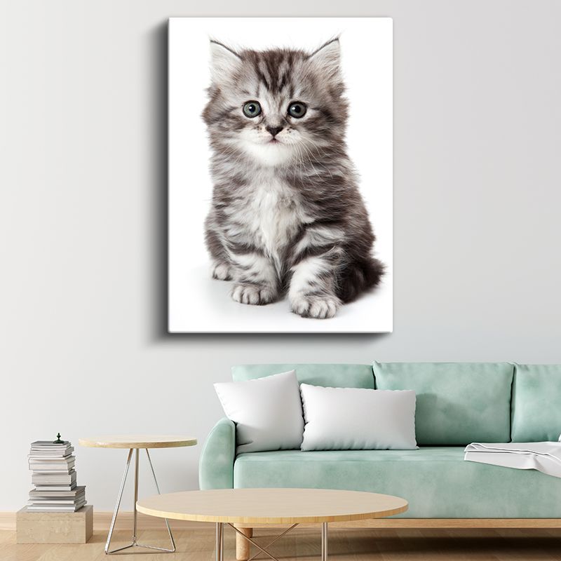 Yavru Kedi - Masum Tatlılık Kanvas Tablo