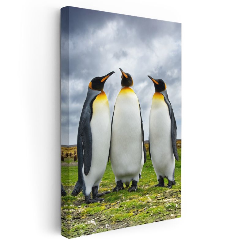 Kral Penguenler - Üçlü Sohbet Kanvas Tablo