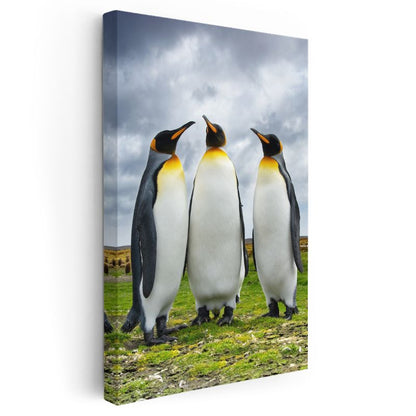 Kral Penguenler - Üçlü Sohbet Kanvas Tablo