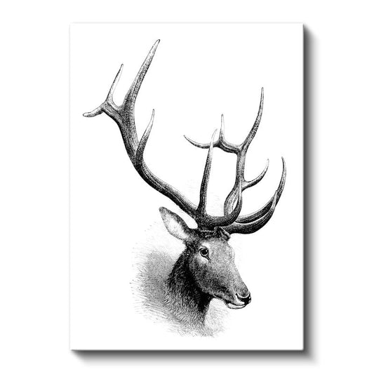 Geyik Çizimi - Heybetli Boynuzlar Kanvas Tablo
