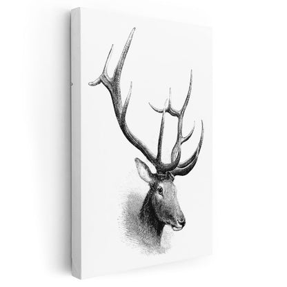 Geyik Çizimi - Heybetli Boynuzlar Kanvas Tablo