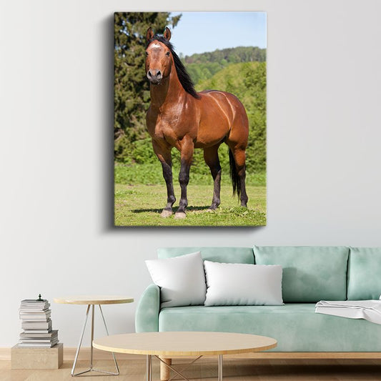 Kahverengi At - Doğal Duruş Kanvas Tablo