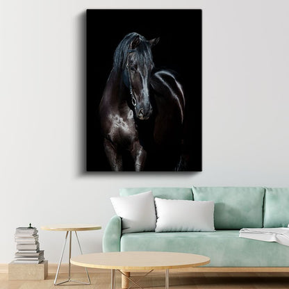 Siyah At - Karanlık İhtişam Kanvas Tablo