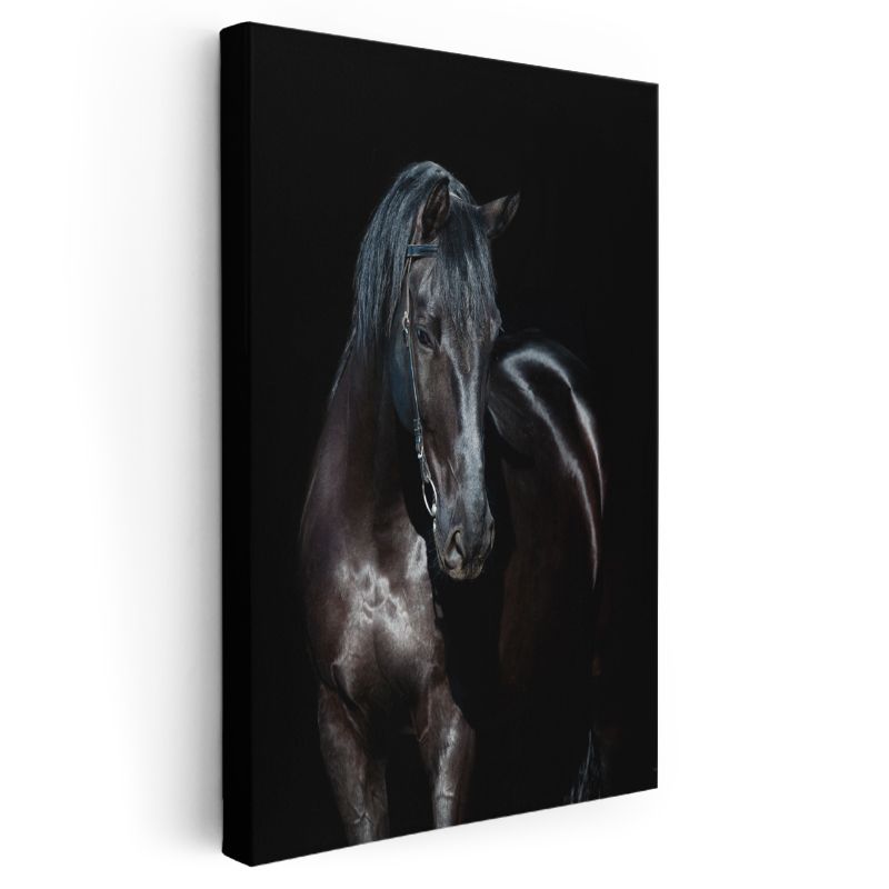 Siyah At - Karanlık İhtişam Kanvas Tablo