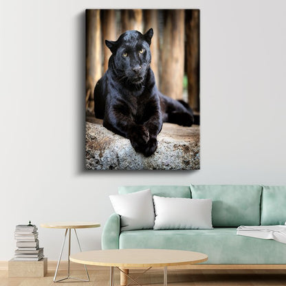Siyah Panter - Gizemli Bakış Kanvas Tablo