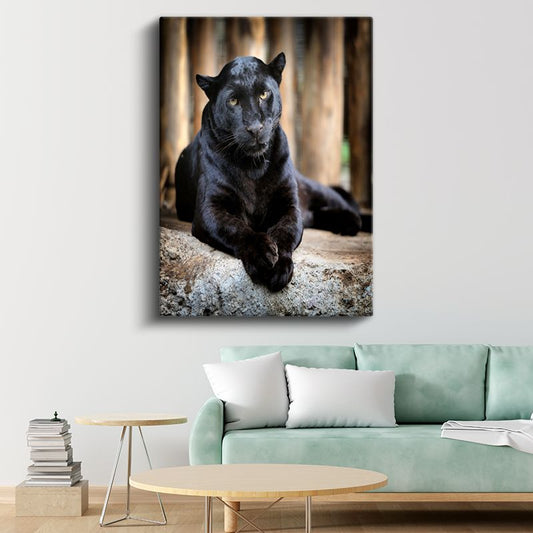 Siyah Panter - Gizemli Bakış Kanvas Tablo