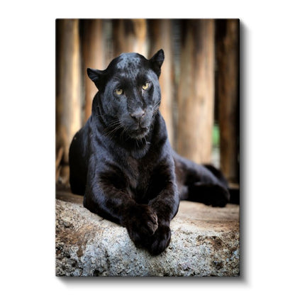 Siyah Panter - Gizemli Bakış Kanvas Tablo
