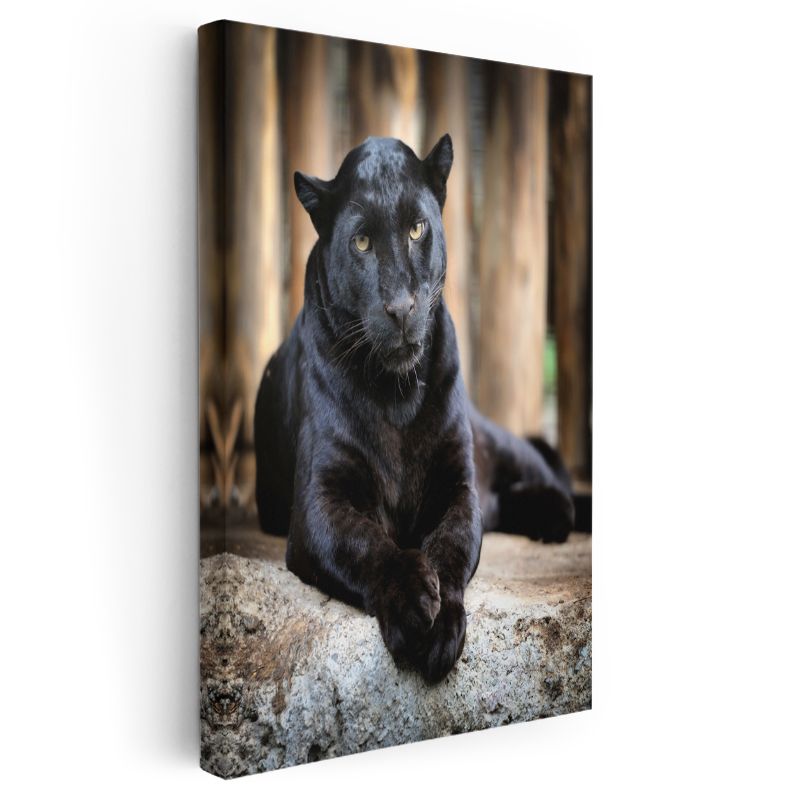 Siyah Panter - Gizemli Bakış Kanvas Tablo