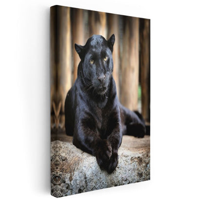 Siyah Panter - Gizemli Bakış Kanvas Tablo