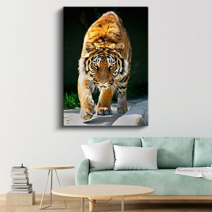 Kaplan Portresi - Keskin Bakışlı Yırtıcı Kanvas Tablo