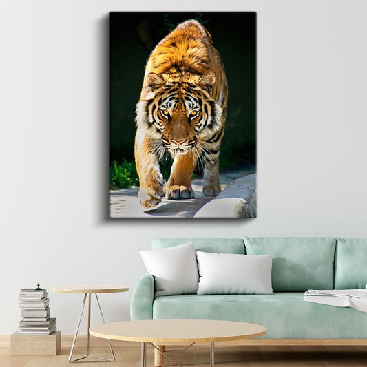 Kaplan Portresi - Keskin Bakışlı Yırtıcı Kanvas Tablo