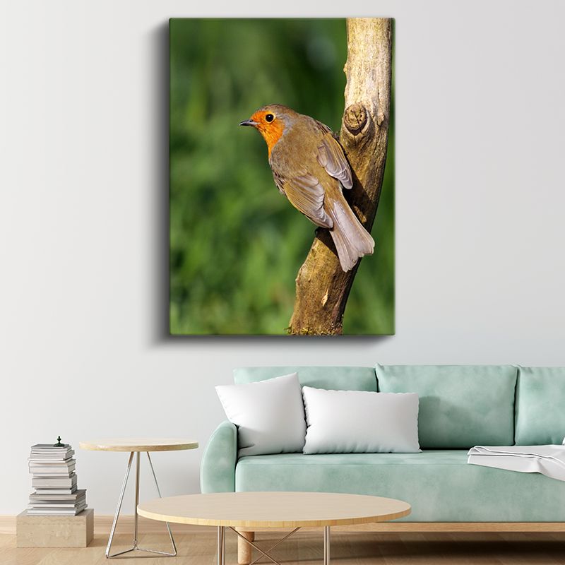 Kızılgerdan Kuşu - Dalda Dinlenen Minik Şarkıcı Kanvas Tablo