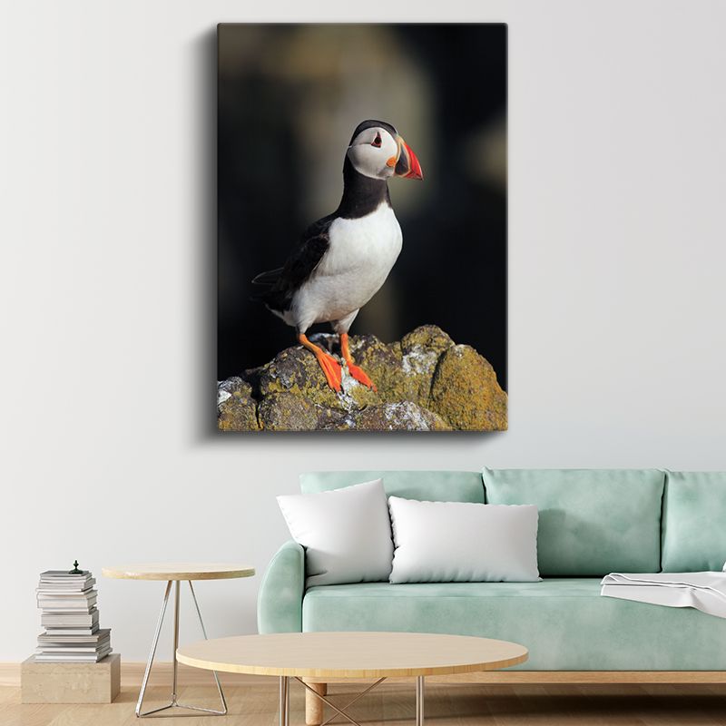 Atlantik Papağanı - Zarif Duruşlu Deniz Kuşu Kanvas Tablo