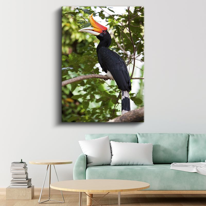 Boynuzlu Kuş - Görkemli Gagalı Egzotik Kuş Kanvas Tablo