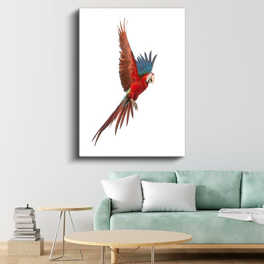 Uçan Ara Papağanı - Kanatları Açık Kırmızı İhtişam Kanvas Tablo
