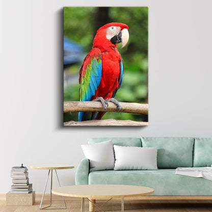 Kırmızı Ara Papağanı - Renkli Tüylü Tropikal Güzellik Kanvas Tablo