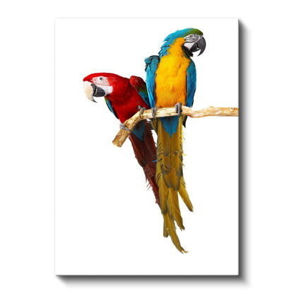 İkili Ara Papağanları - Renkli Dostluk Portresi Kanvas Tablo