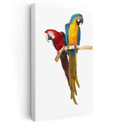 İkili Ara Papağanları - Renkli Dostluk Portresi Kanvas Tablo