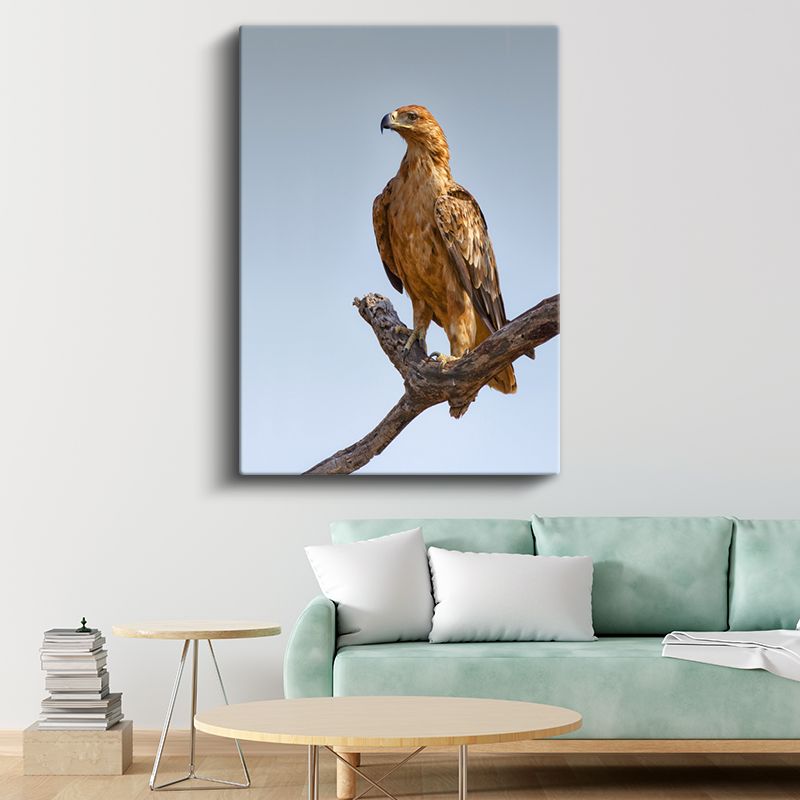 Kartal Portresi - Asil Duruşlu Avcı Kuş Kanvas Tablo