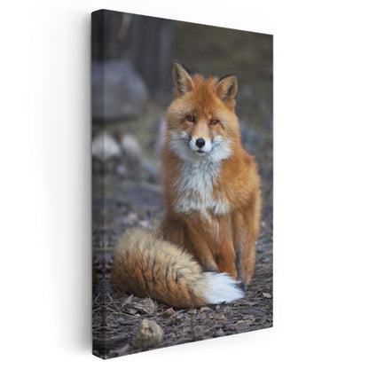 Kızıl Tilki - Orman Bekçisi Portresi Kanvas Tablo