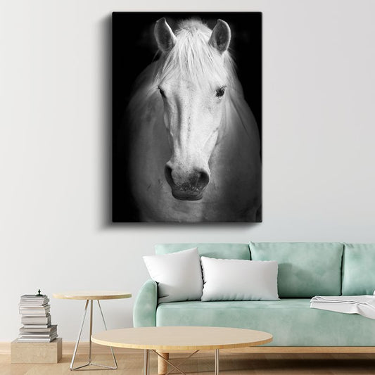 Beyaz At - Asil Duruşlu Monokrom Portre Kanvas Tablo