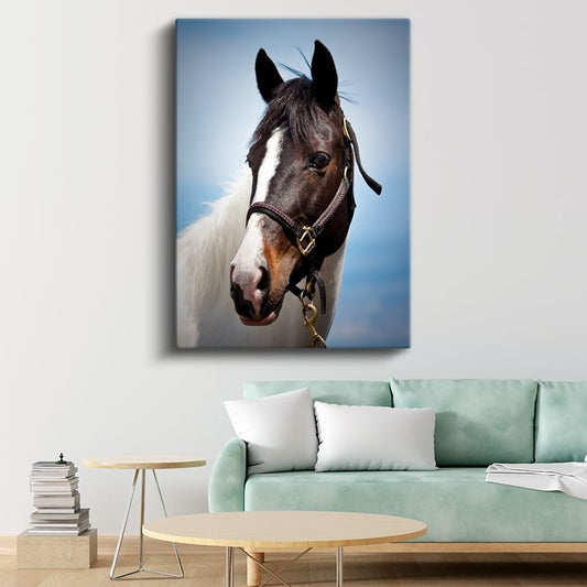 At Portresi - Soylu Bakışlı Safkan Kanvas Tablo