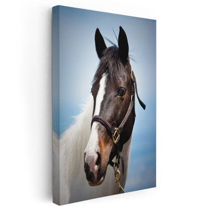 At Portresi - Soylu Bakışlı Safkan Kanvas Tablo