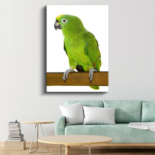 Yeşil Papağan - Zümrüt Tüylü Egzotik Kuş Kanvas Tablo