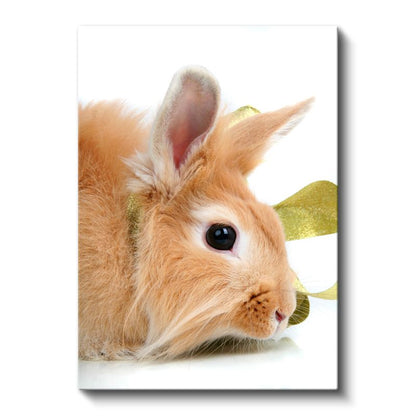 Sevimli Tavşan - Yumuşak Tüylü Minik Dost Kanvas Tablo