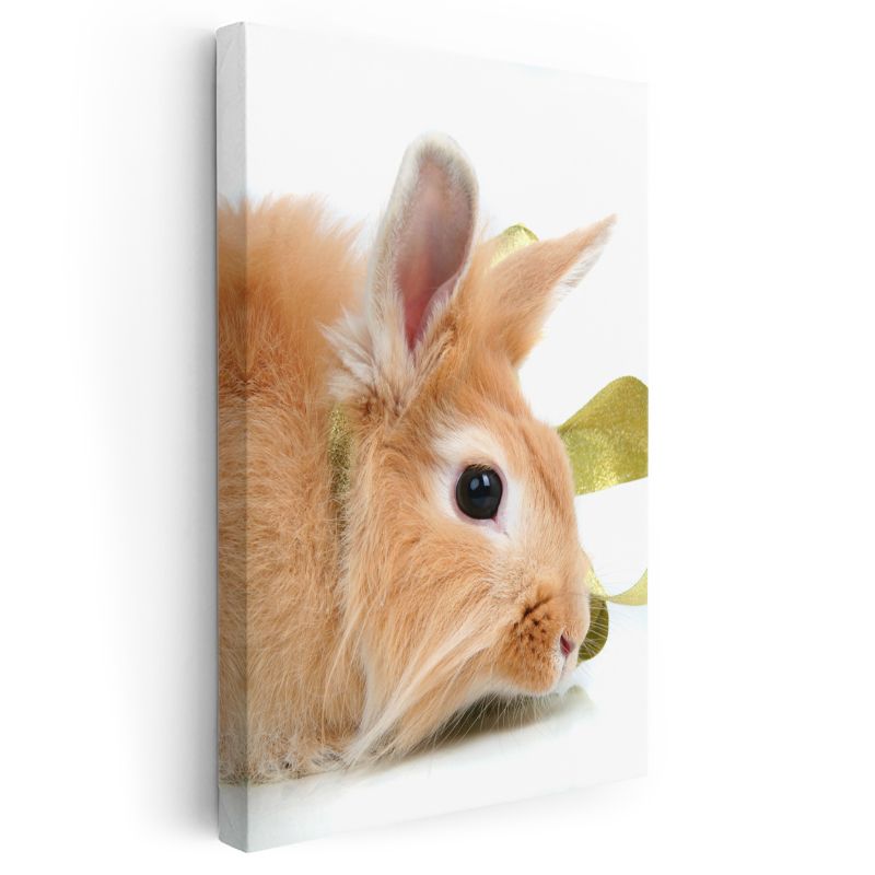 Sevimli Tavşan - Yumuşak Tüylü Minik Dost Kanvas Tablo