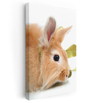 Sevimli Tavşan - Yumuşak Tüylü Minik Dost Kanvas Tablo