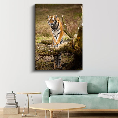 Genç Kaplan - Vahşi Doğanın Gururlu Bekçisi Kanvas Tablo