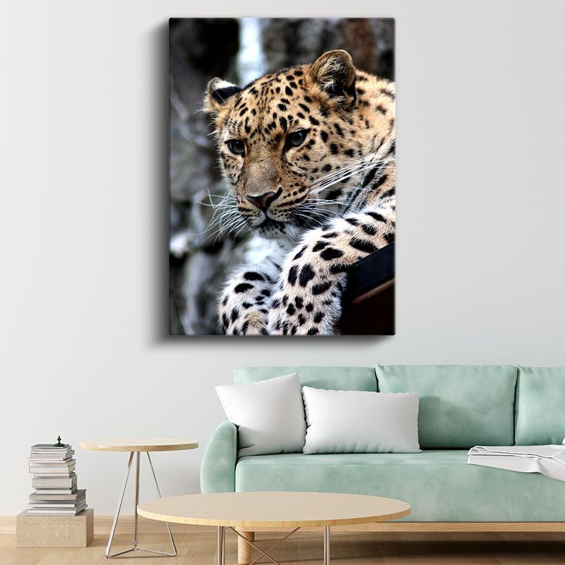 Leopar Portresi - Benekli Desenli Yırtıcı Kanvas Tablo